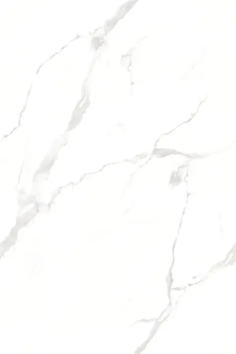 PALID BIANCO TECH view 2